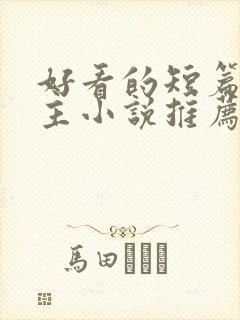 好看的短篇双男主小说推荐完结