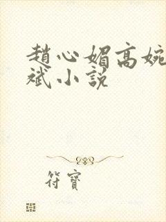 赵心媚高婉君陈斌小说