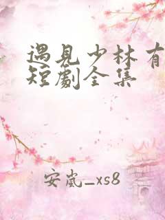 遇见少林有功夫短剧全集