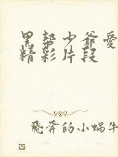 黑帮少爷爱上我精彩片段