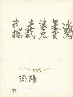 我老婆是冰山女总裁免费阅读