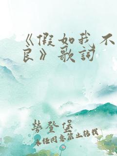 《假如我不再善良》歌词