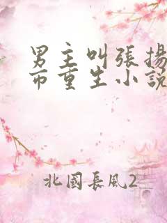 男主叫张扬的都市重生小说