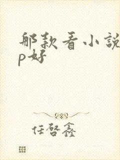 那款看小说app好