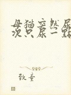 母猫突然尿频每次只尿一点