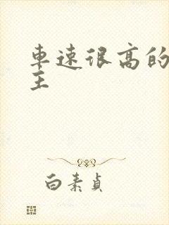 车速很高的双男主