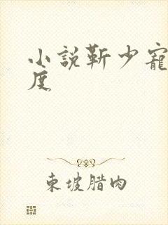 小说靳少宠妻无度