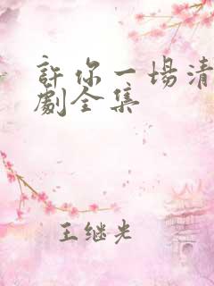 许你一场清欢短剧全集