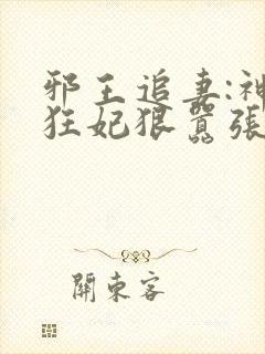 邪王追妻:神医狂妃狠嚣张阅读