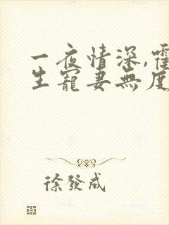 一夜情深,霍先生宠妻无度完本