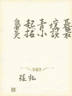 枭起青壤聂九罗炎拓小说最新章节阅读