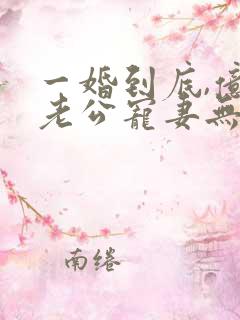 一婚到底,亿万老公宠妻无度