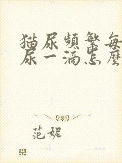 猫尿频繁每次只尿一滴怎么办