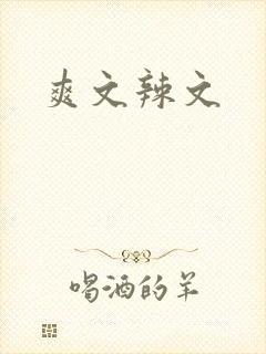 爽文辣文