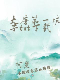 大唐第一坑爹皇子txt下载