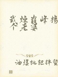 武炼巅峰杨开几个老婆