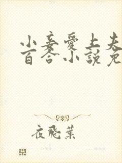 小妾爱上夫人的百合小说免费阅读