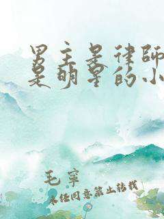 男主是律师女主是明星的小说