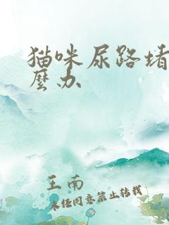 猫咪尿路堵塞怎么办