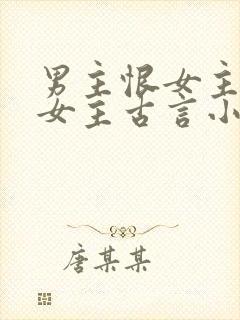 男主恨女主报复女主古言小说