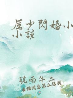 厉少闪婚小萌妻小说