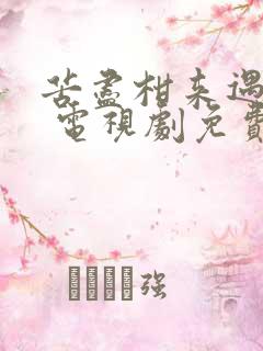 苦尽柑来遇见你 电视剧免费