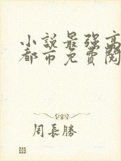 小说最强高手在都市免费阅读