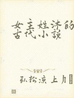 女主姓沐的重生古代小说