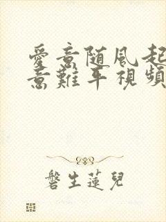 爱意随风起风止意难平视频