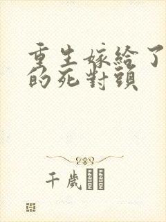 重生嫁给了渣男的死对头