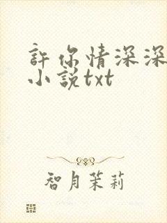 许你情深深似海小说txt
