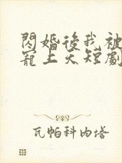 闪婚后我被总裁宠上天短剧免费