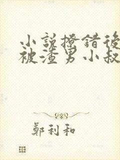 小说撩错后,我被渣男小叔狂宠入骨