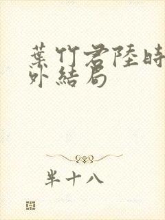 叶竹君陆时琛番外结局