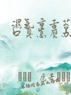 湿气重舌苔厚白口臭怎么办