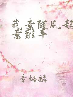 我意随风起风止意难平