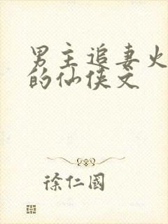 男主追妻火葬场的仙侠文