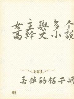 女主与多个男主高干文小说