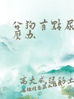 公狗有点尿血怎么办