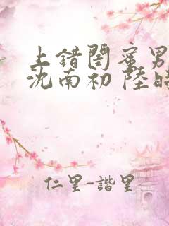 上错闺蜜男友 沈南初 陆时砚