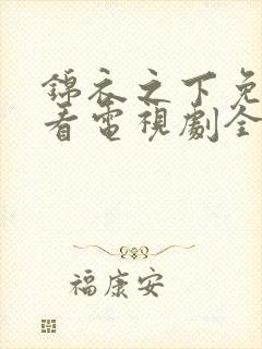 锦衣之下免费观看电视剧全集