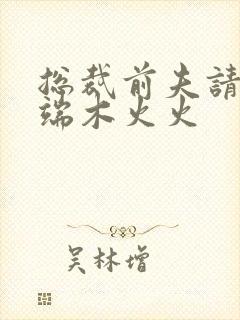 总裁前夫请自重端木火火