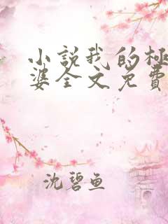 小说我的极品老婆全文免费阅读