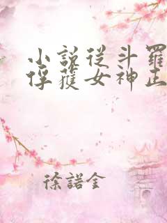 小说从斗罗开始俘获女神正版全文下载