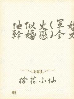 他似火(军婚高干婚恋)全文