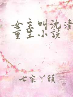 女主叫沈清婉的重生小说