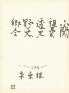 乡野透视小村医全文免费阅读