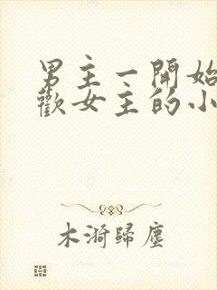 男主一开始不喜欢女主的小说