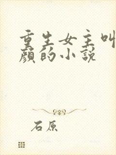 重生女主叫苏沐颜的小说