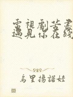 电视剧苦尽柑来遇见你在线观看免费完整版